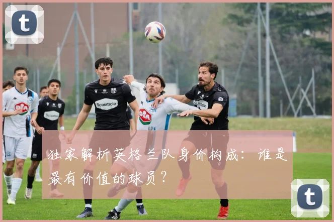 独家解析英格兰队身价构成:谁是最有价值的球员?
