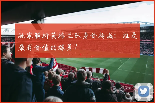 独家解析英格兰队身价构成：谁是最有价值的球员？