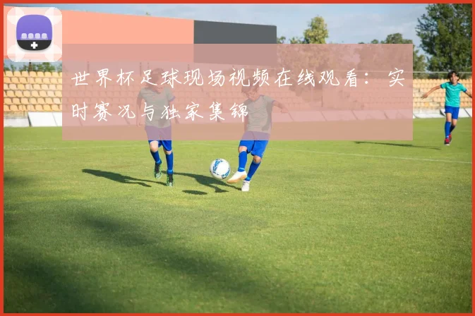 世界杯足球现场视频在线观看：实时赛况与独家集锦